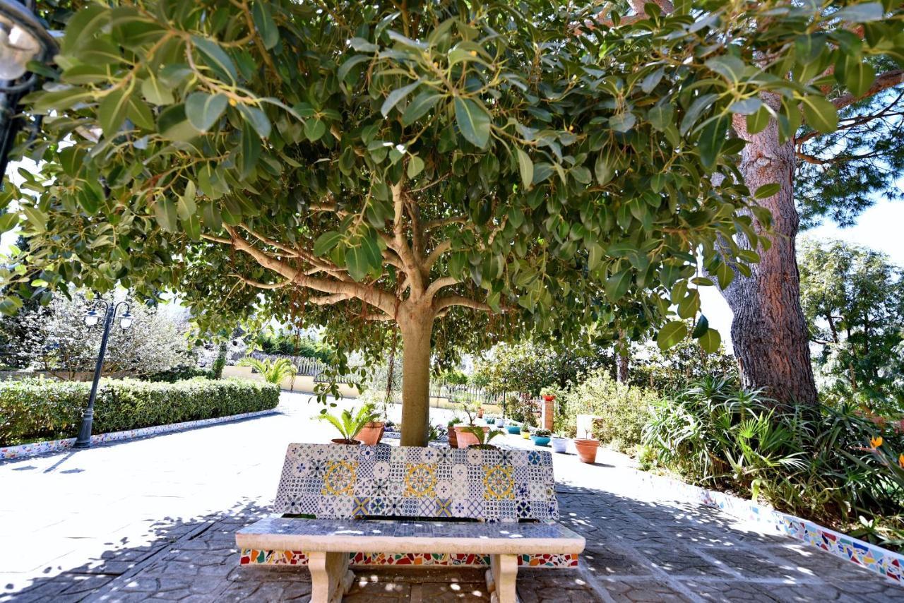 Villa Tina Santa Maria di Castellabate Extérieur photo